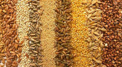 Kelloggs gabona a fogyáshoz - Gabonafélék hogy gyorsan lefogyjak Kellogg fogyókúrás gabona